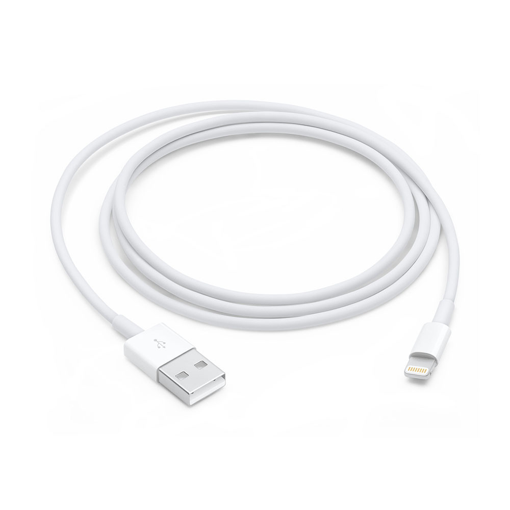 Lightning to USB Cable (0.5 m)