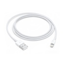 Lightning to USB Cable (2 m)